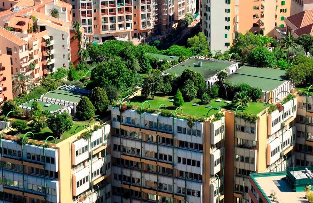 Greening Your Space The Advantages of Green Roofs
